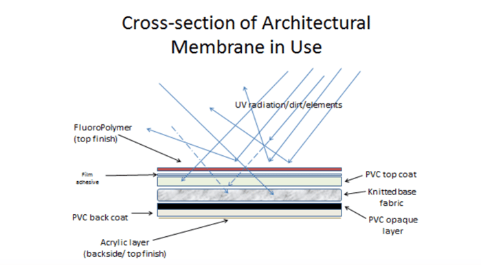 Cross-section of an Architectural Membrane in Use